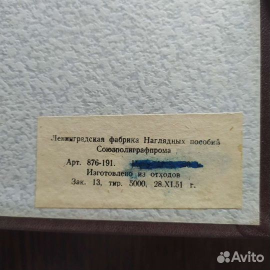 Альбом для фото 1951