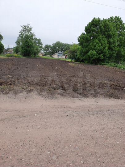 Участок 25 сот. (ИЖС)