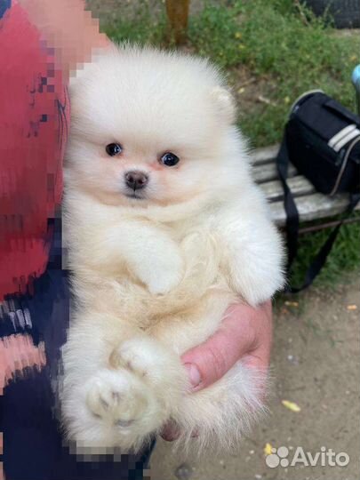 Очаровательный малыш