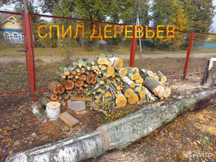 Спил деревьев,Расчистка участков