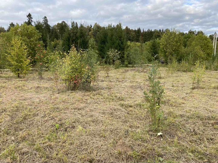 Участок 11,6 сот. (ИЖС)