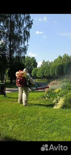 Обработка участков от клещей и комаров