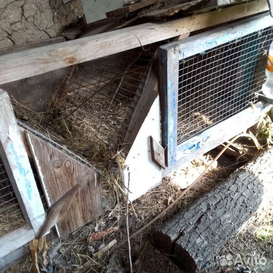 Клетки для кроликов бу