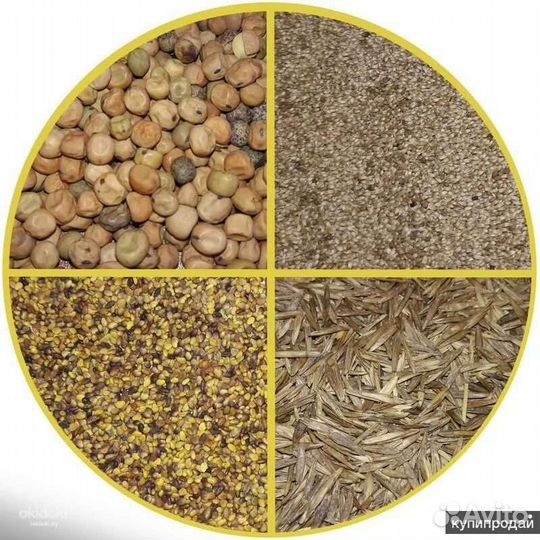 Семена многолетних трав и свеклы