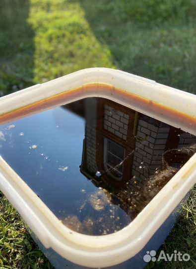 Мед Алтайское разнотравье оптом 2023