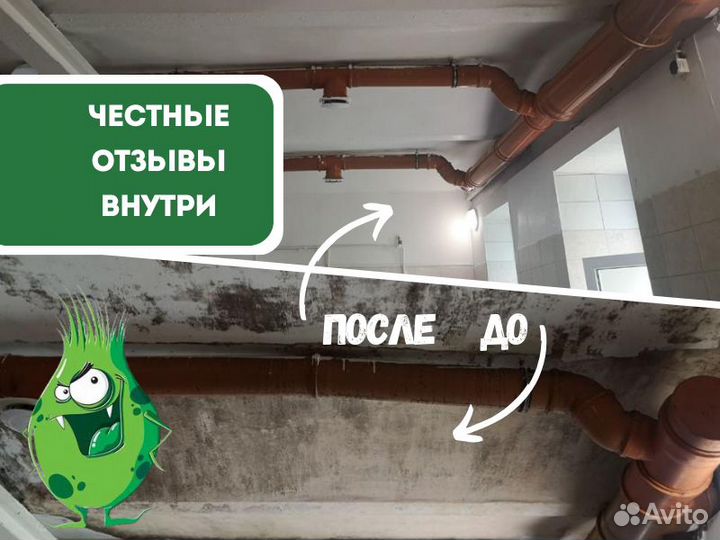 Дезинфекция дезинсекция дератизация