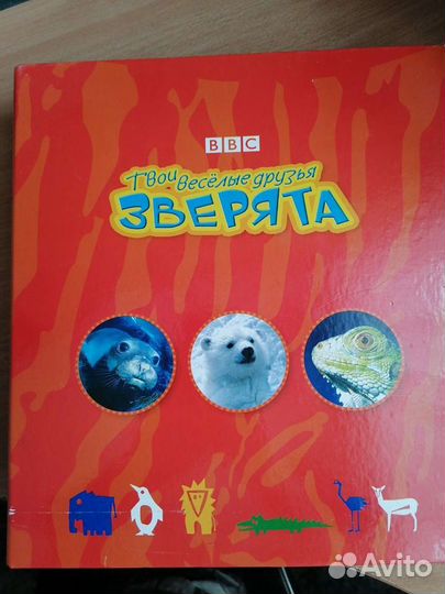 Твои весёлые друзья зверята BBC