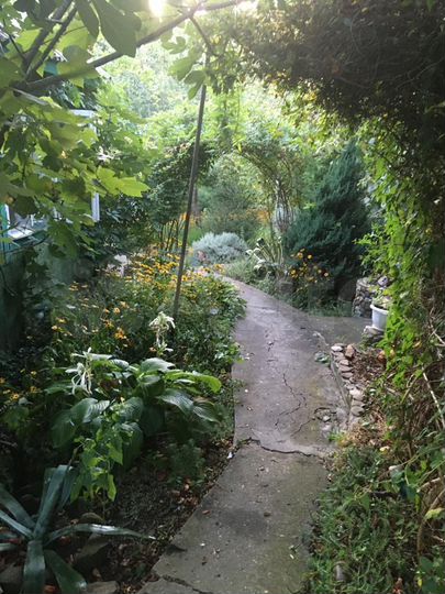 Участок 15 сот. (ИЖС)