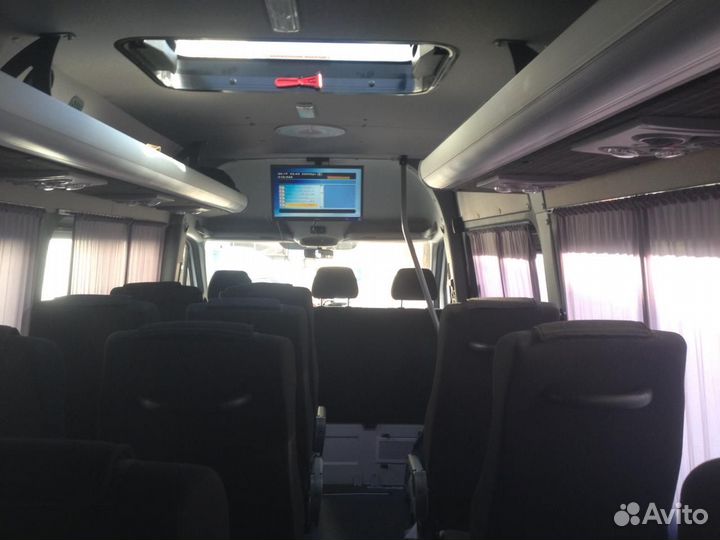 Заказ автобуса на свадьбу на корпоративы