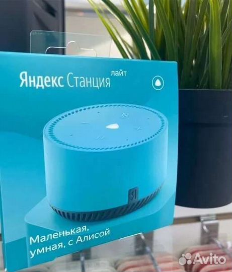 Яндекс Станция алиса lite + подписка