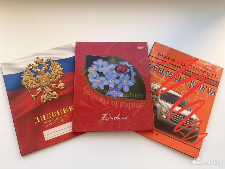 Дневник школьный новый
