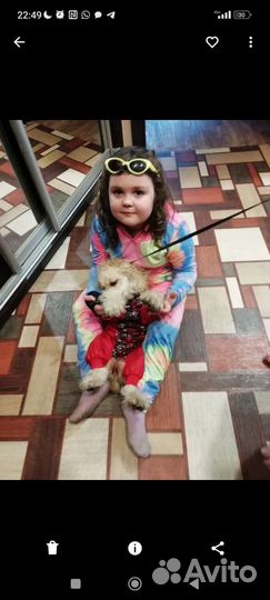 Дождевик для средней собаки (девочки)