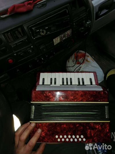 Аккордеон малыш