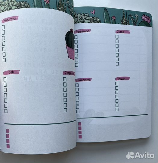 Турецкий ежедневник