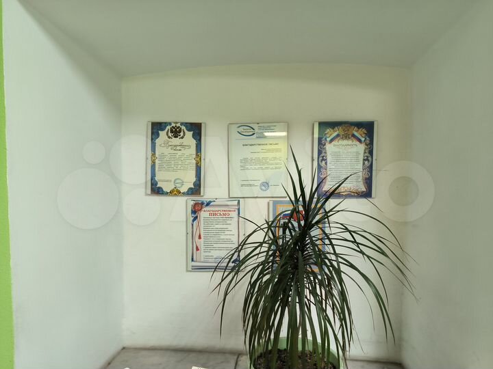 Комната 23 м², 1/2 эт.