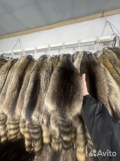 Шкуры енота