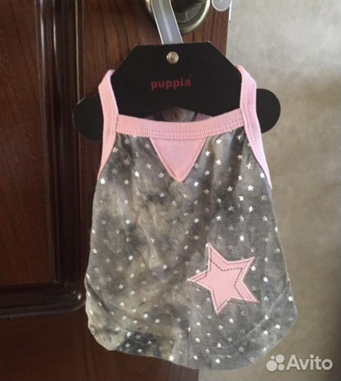 Одежда для собак