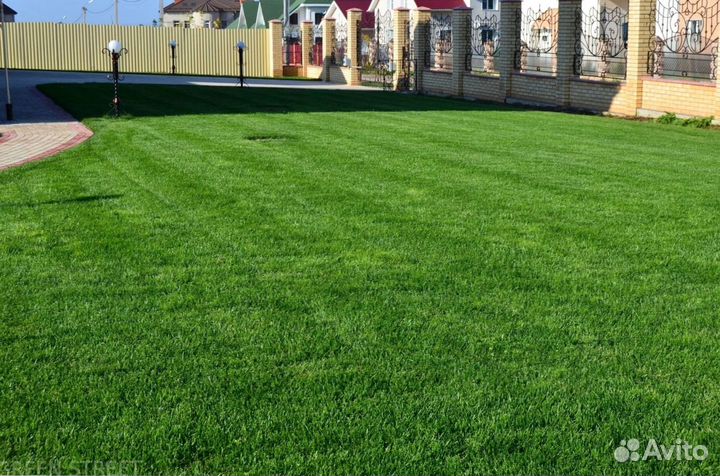 Рулонный газон из собственного питомника