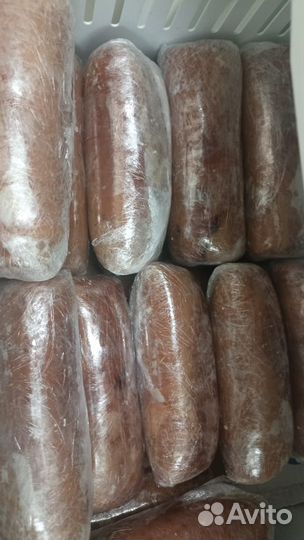 Хребты семги