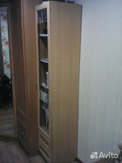 Клетка витрина