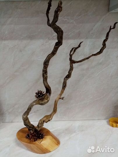 Сувенир из корней дерева