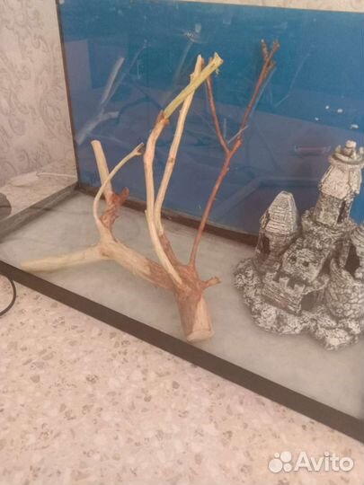 Коряги для аквариума