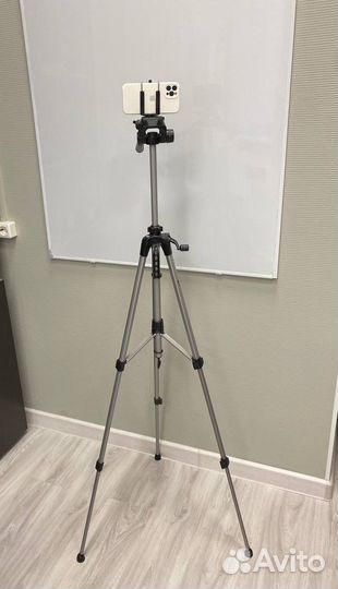 Аренда зала для семинара