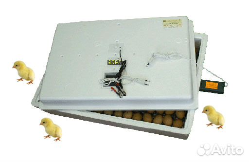 Инкубатор автомат 104 яйца (220/12 В). Цифровой