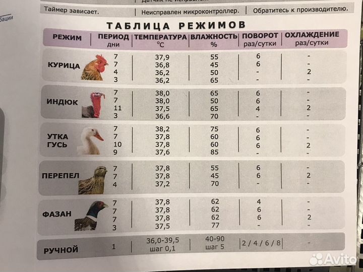 Инкубатор полностью автоматический программируемый