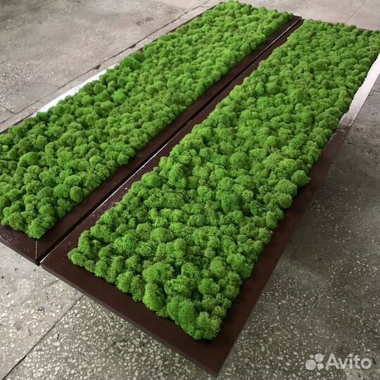 Панно со мхом на стену