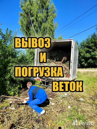 Вывоз мусора, вывоз мебели, хлама