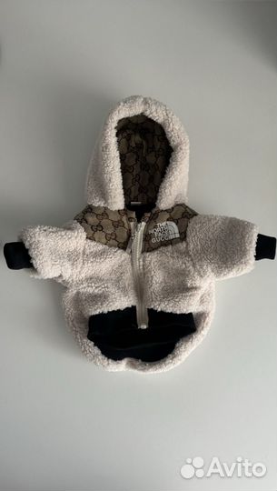 Одежда для собак мелких пород