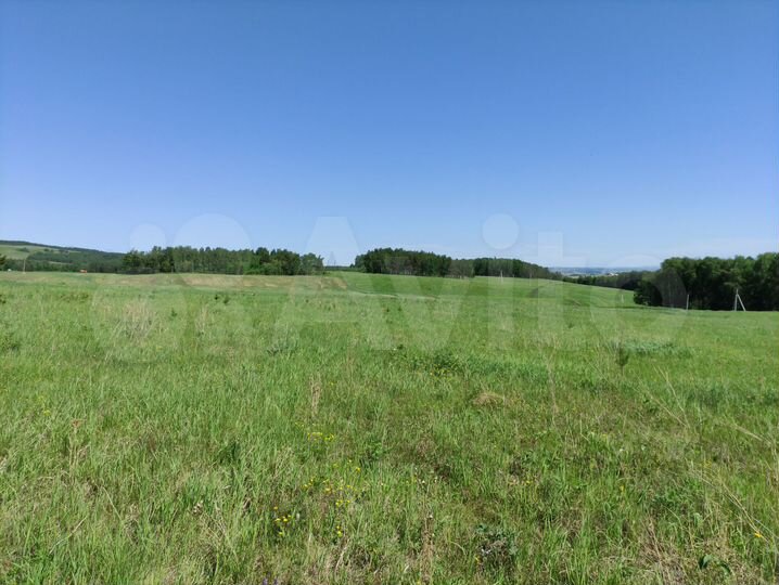 Участок 12 сот. (СНТ, ДНП)