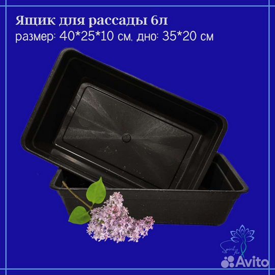 Ящик поддон для рассады и растений