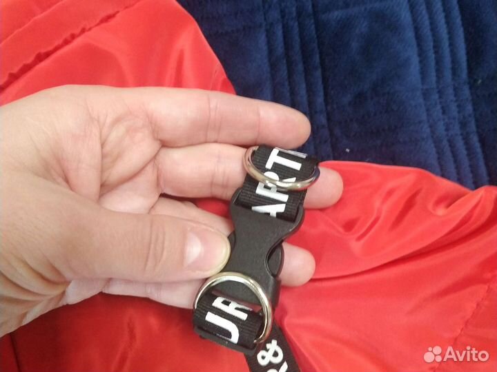 Дождевик для маленькой собаки