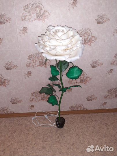 Ростовые цветы