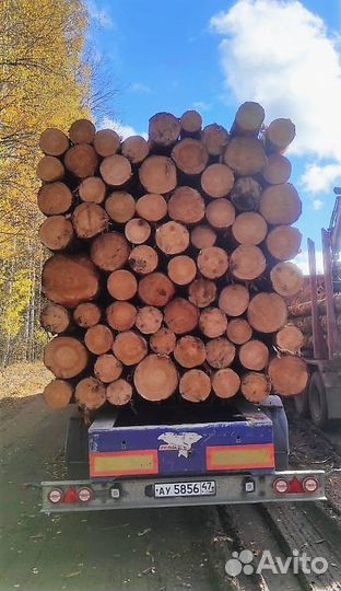 Лес кругляк опт