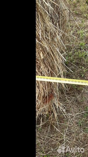 Сено в рулонах 2023