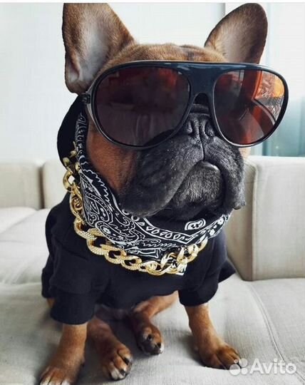 Подвеска адресник для ошейника