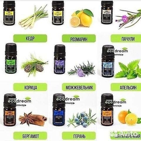 Продукция гринвей