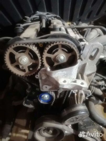 Двигатель Ford Focus 1.6 shda