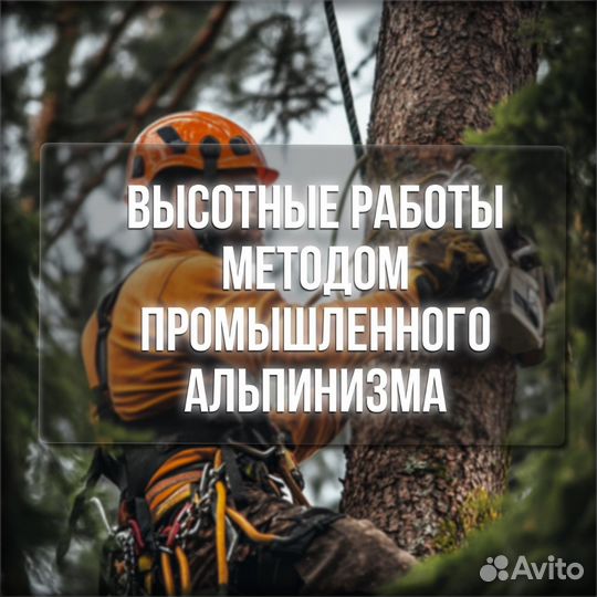 Вырубка деревьев, расчистка, котлованы, сыпучие