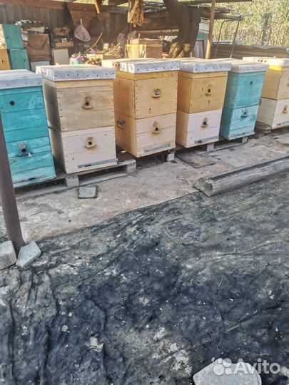 Ульи для пчел
