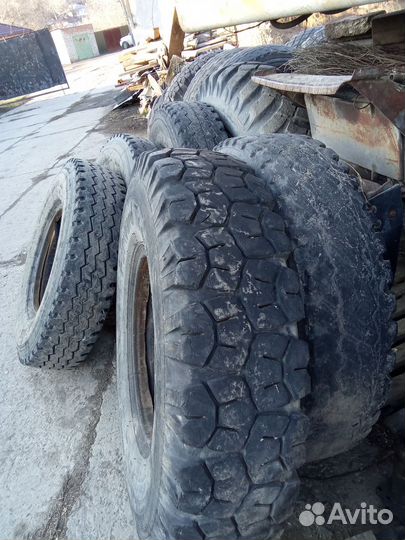 Покрышки на маз