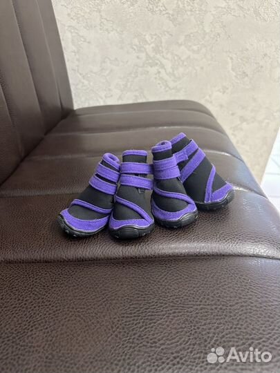 Ботинки для собак