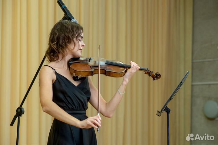 Уроки игры на скрипке, сольфеджио, фортепиано
