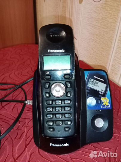 Panasonic