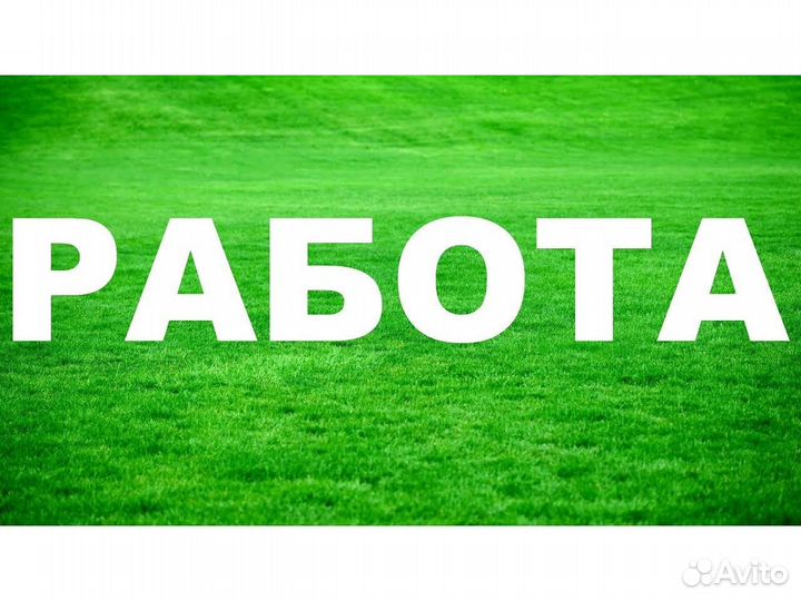 Грузчик вахта до 50 смен Еженедельные выплаты