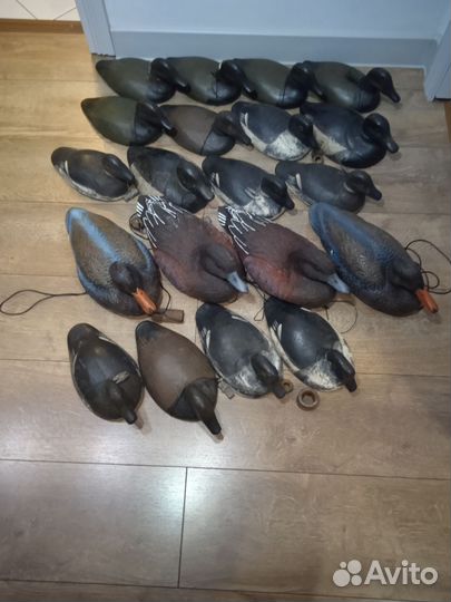 Чучела уток для охоты