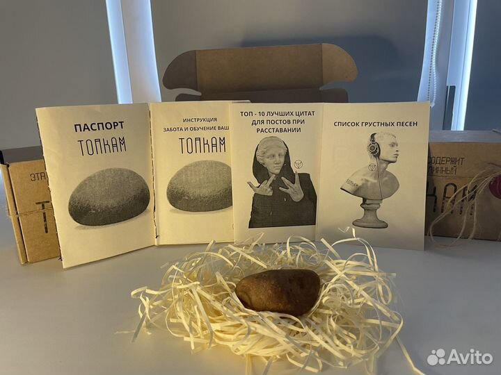 Топкам «разведёнка»